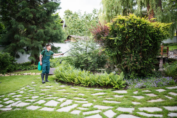 Best Best Pest Control Companies  in Indio, CA