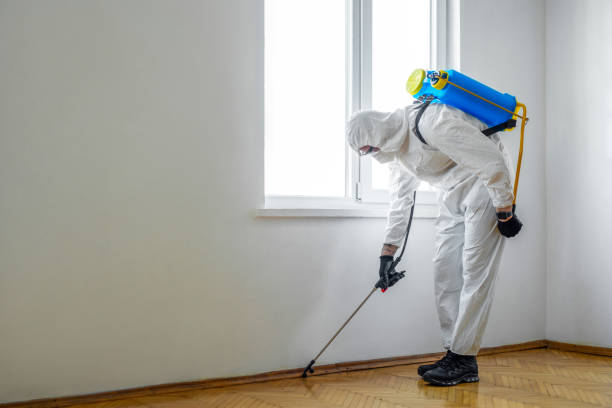 Best Rat Extermination Near Me  in Indio, CA