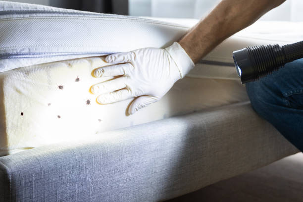Best Pest Inspection Near Me  in Indio, CA