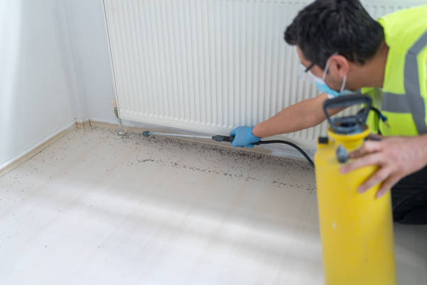 Flea Control Services in Indio, CA